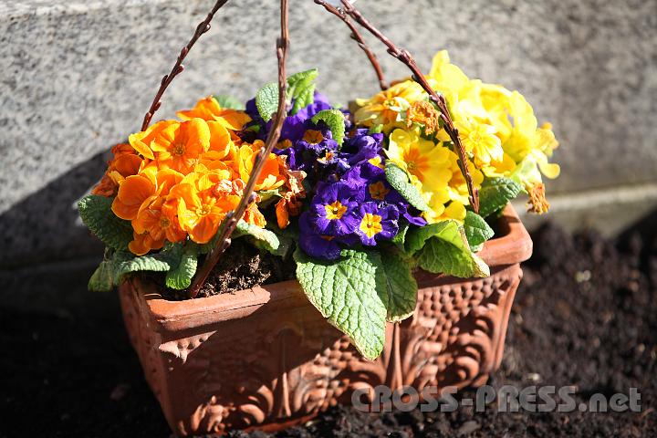 2012.04.01_09.54.06.jpg