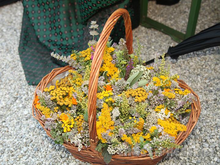 2012.08.15_11.01.42.jpg