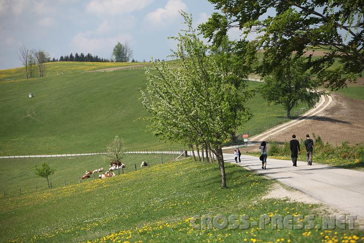 2009.05.03_11.36.20.jpg