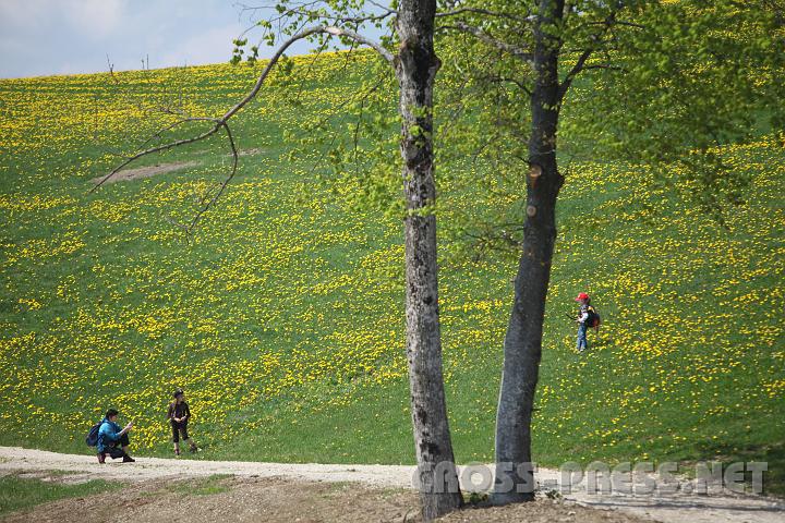 2009.05.03_11.58.45.jpg