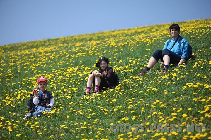 2009.05.03_12.01.02.jpg