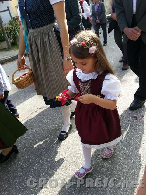 2016.05.26_09.03.47_001.jpg