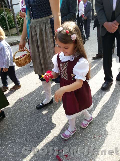 2016.05.26_09.03.48.jpg