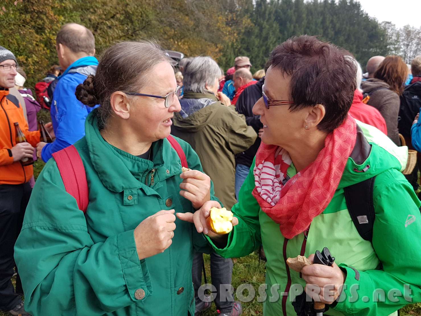2016.10.26_11.53.07.jpg