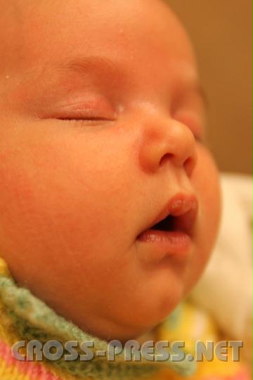 2010.12.08_00.11.14.jpg