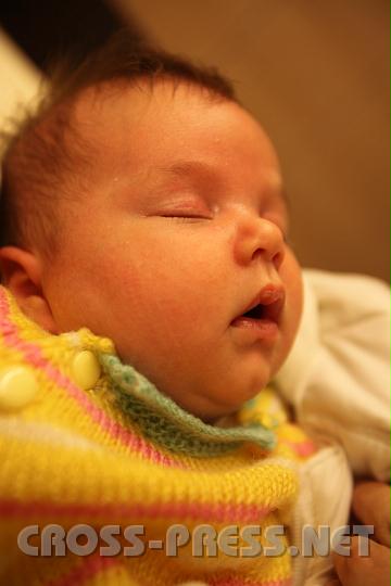 2010.12.08_00.11.15.jpg