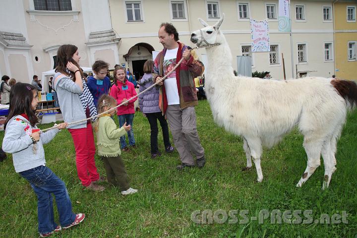 2013.05.04_12.32.48.jpg