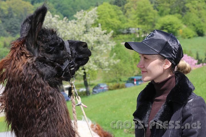 2013.05.04_13.23.38.jpg