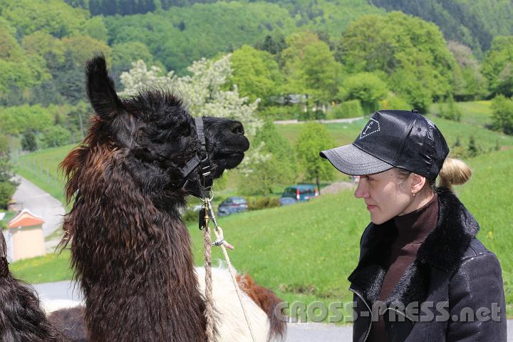 2013.05.04_13.23.42.jpg