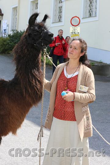 2013.05.04_13.24.21.jpg