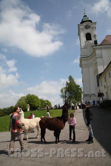 2013.05.04_13.26.00.jpg