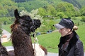 2013.05.04_13.23.42