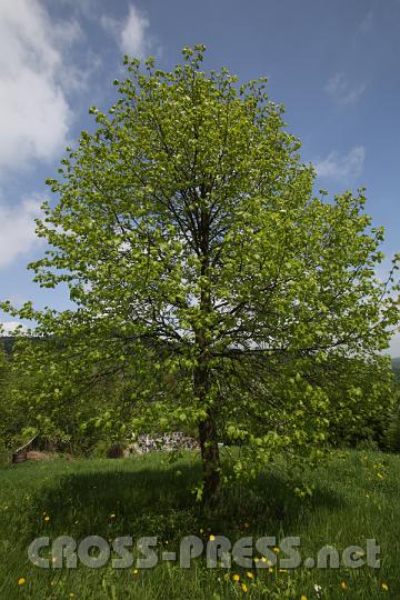 2013.05.04_13.02.42.jpg