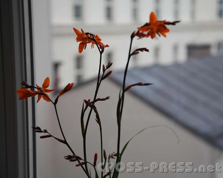 2013.10.06_12.48.04.jpg