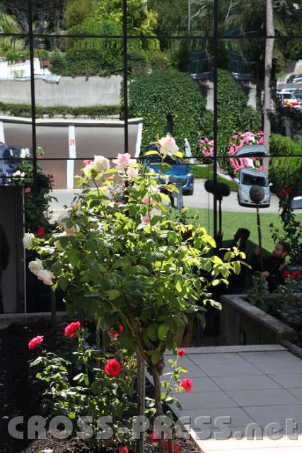 2014.06.26_09.21.15.jpg