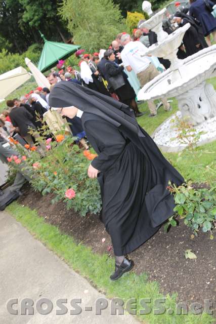 2014.06.26_12.33.30.jpg