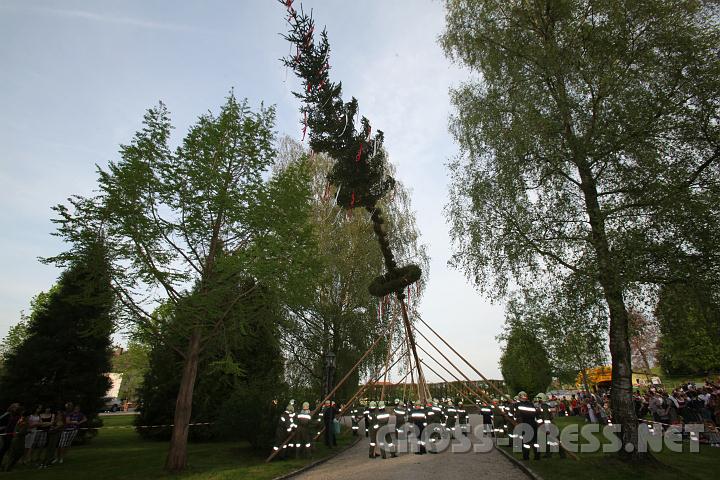2010.04.30_17.27.14.jpg