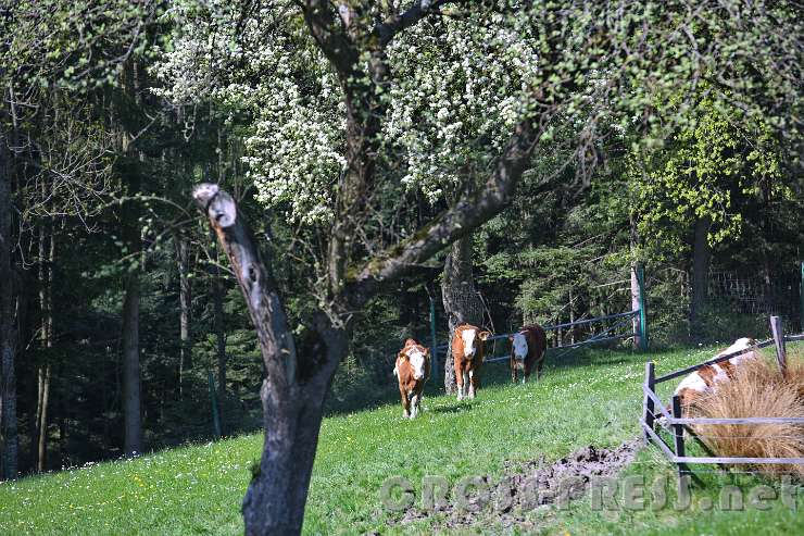 2015.04.26_14.20.52.JPG