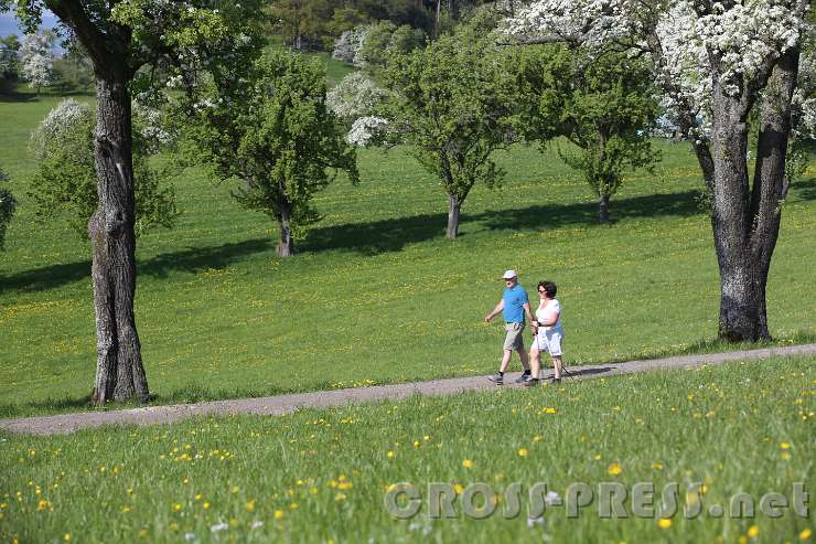 2015.04.26_15.27.43.JPG