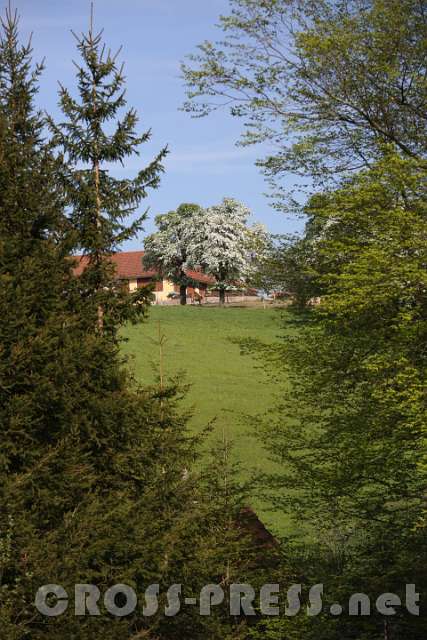 2015.04.26_15.46.22.JPG