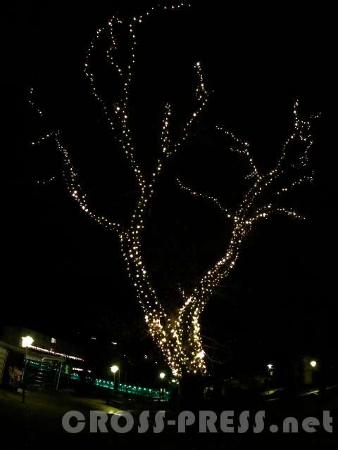 2016.12.12_22.11.00.JPG